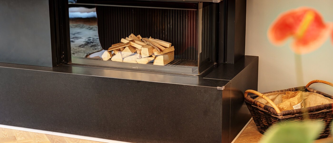 apartment München Solln 05 living room 14479