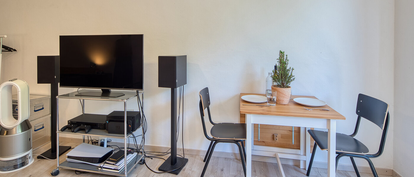 apartment München Lehel 03 living area 14488