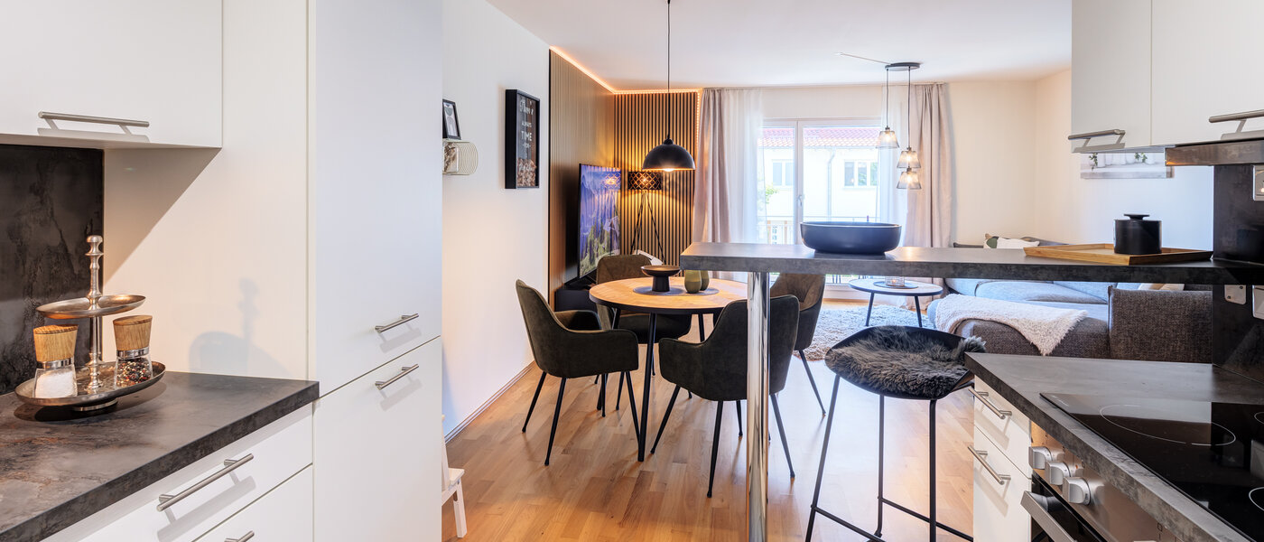 apartment Ismaning 04 kitchen 14497