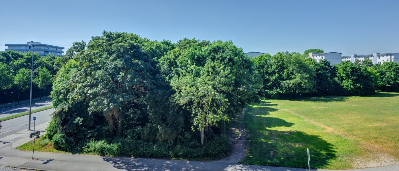 studio München Am Hart 01 view 14506