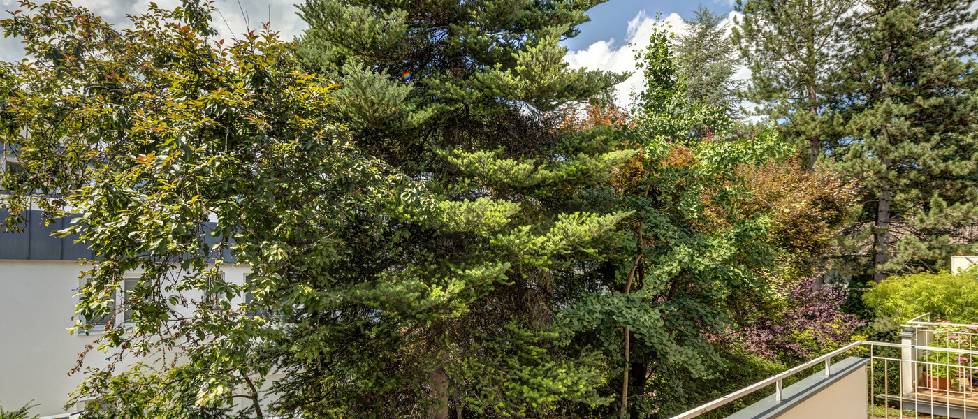 apartment München Solln 02 view 14509