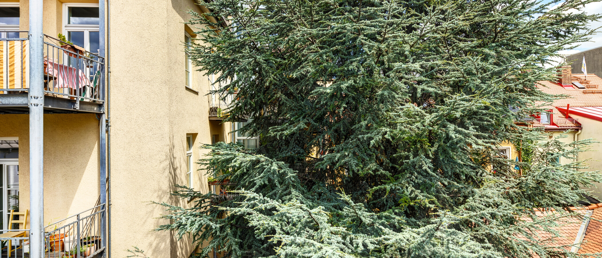 apartment München Neuhausen 02 view 14523