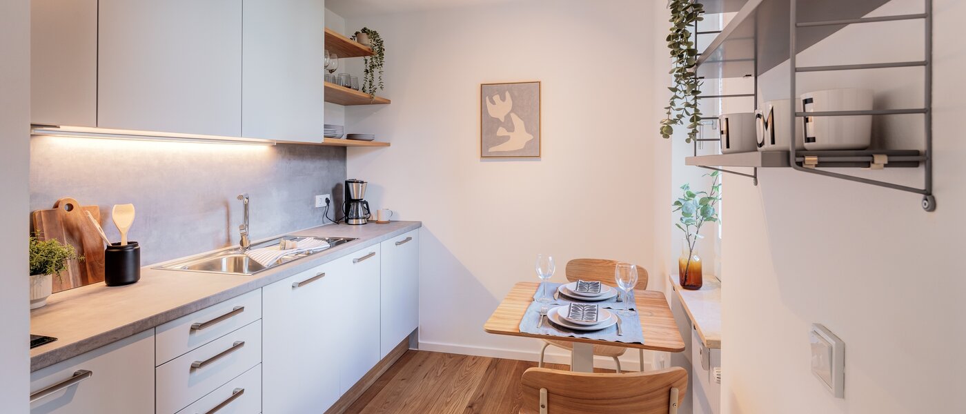 apartment München Thalkirchen 01 kitchen 14526