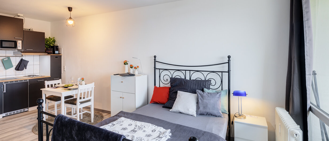 apartment München Haidhausen 01 sleeping area 14533