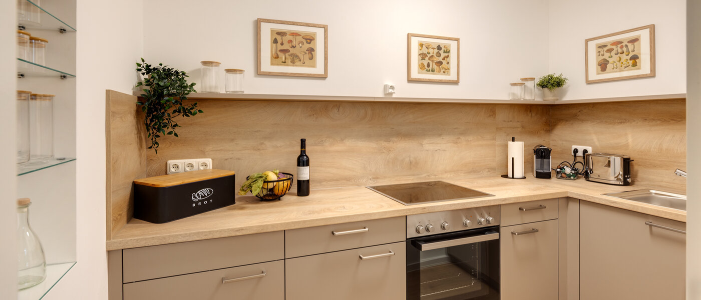 apartment Freising 01 kitchen 14550