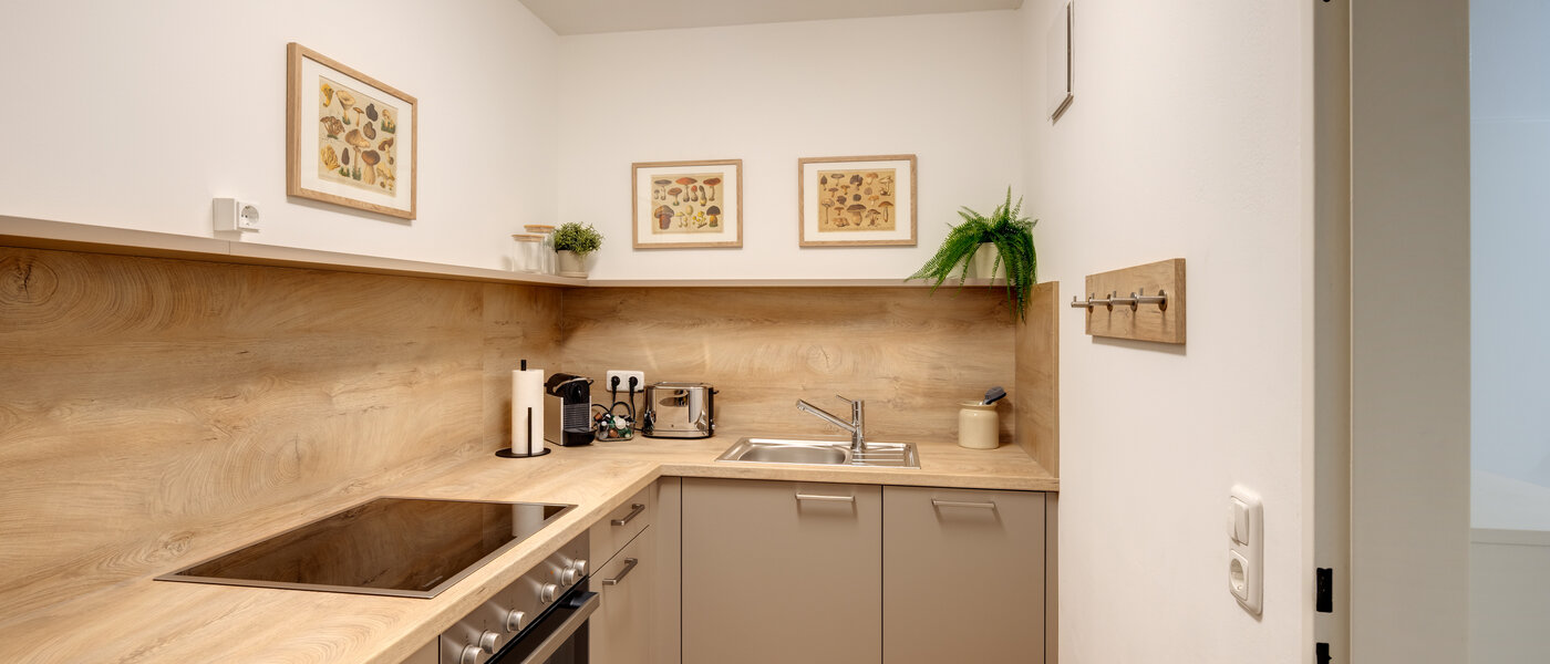 apartment Freising 02 kitchen 14550