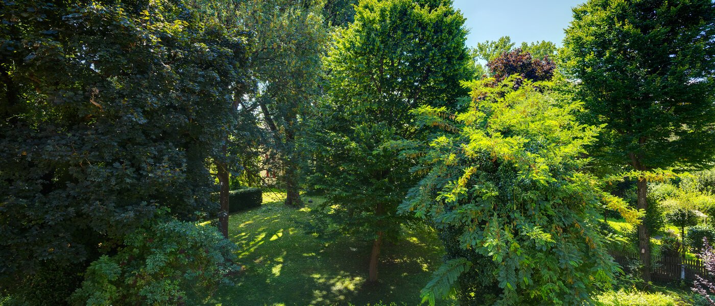 maisonette-gallery apartment München Ramersdorf 01 view 14556