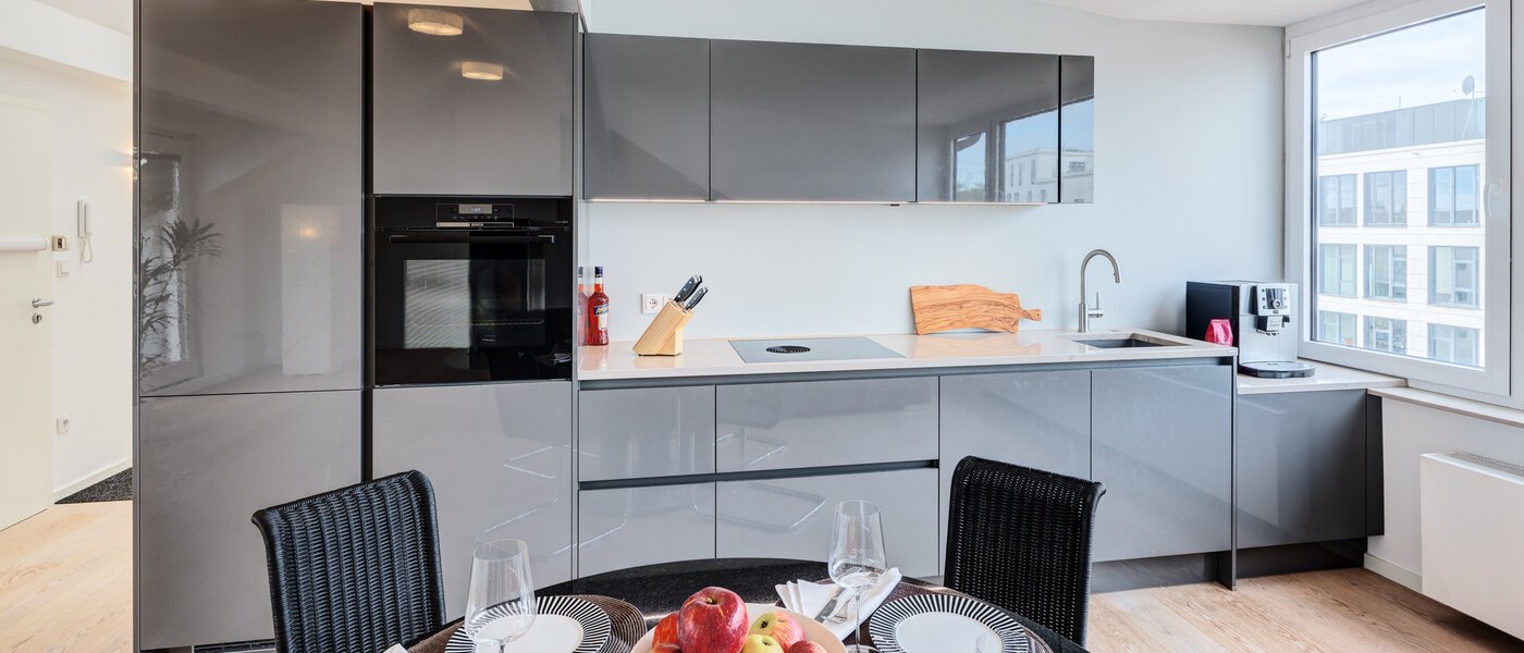 attic apartment München Maxvorstadt 01 kitchen 14568