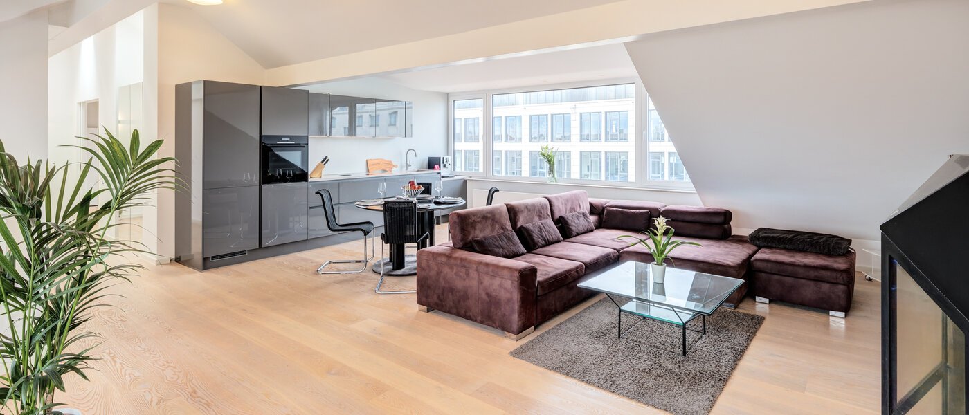 attic apartment München Maxvorstadt 01 living area 14568