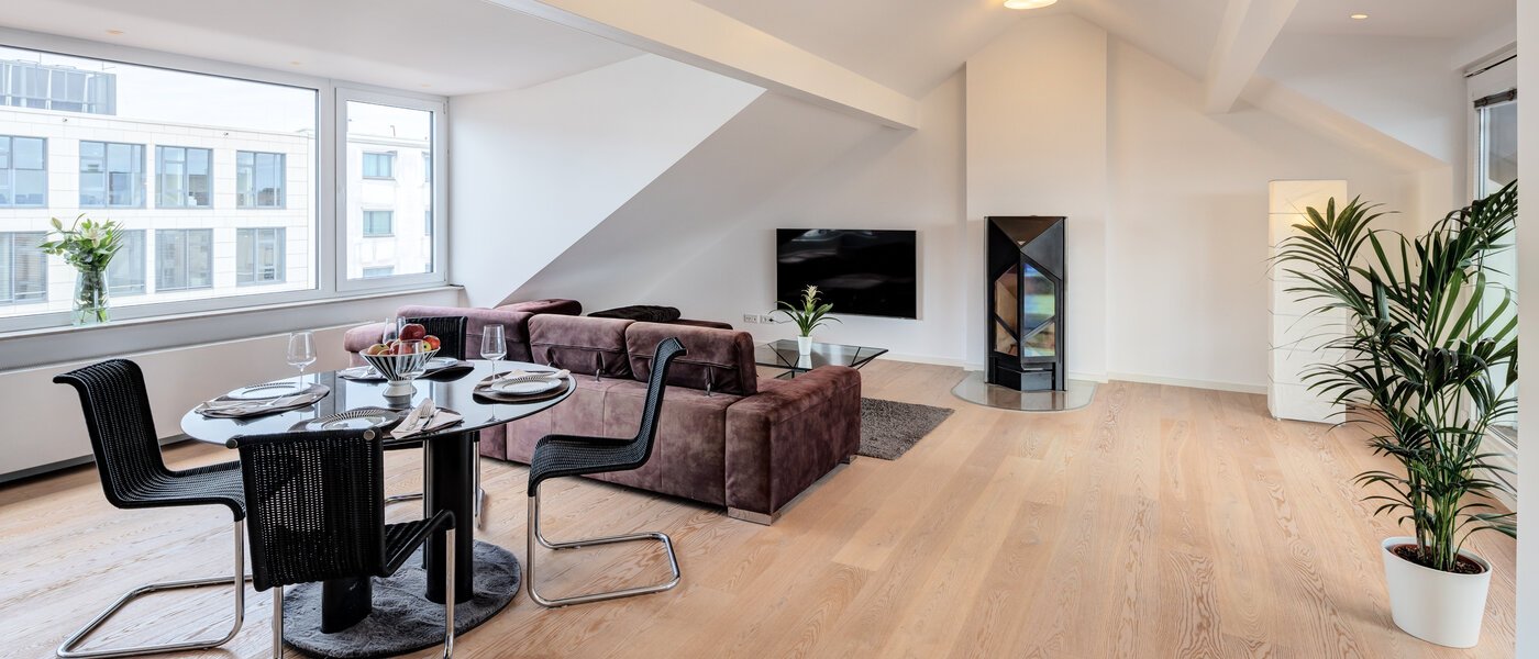 attic apartment München Maxvorstadt 02 living area 14568