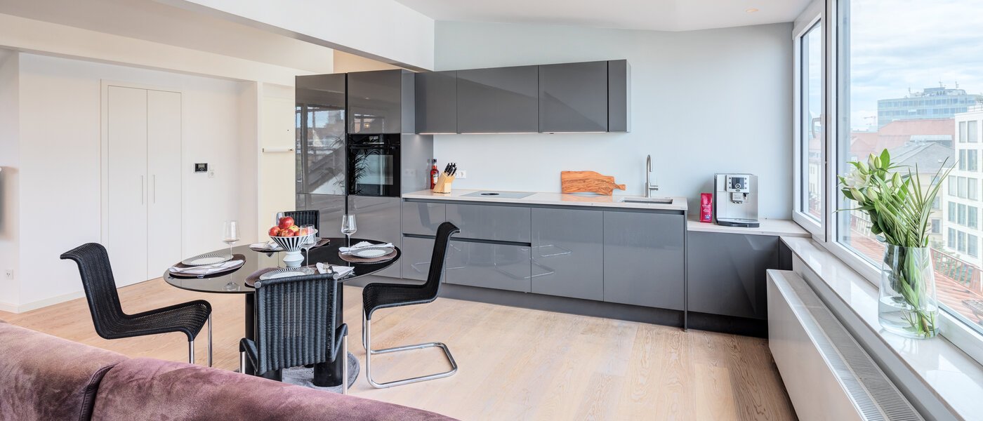 attic apartment München Maxvorstadt 05 living area 14568