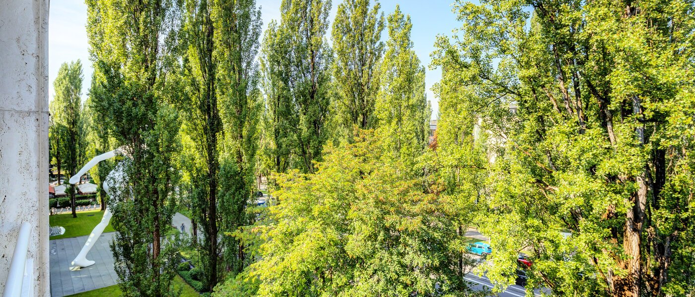 apartment München Schwabing (rechts der Leopoldstraße) 02 view 14569