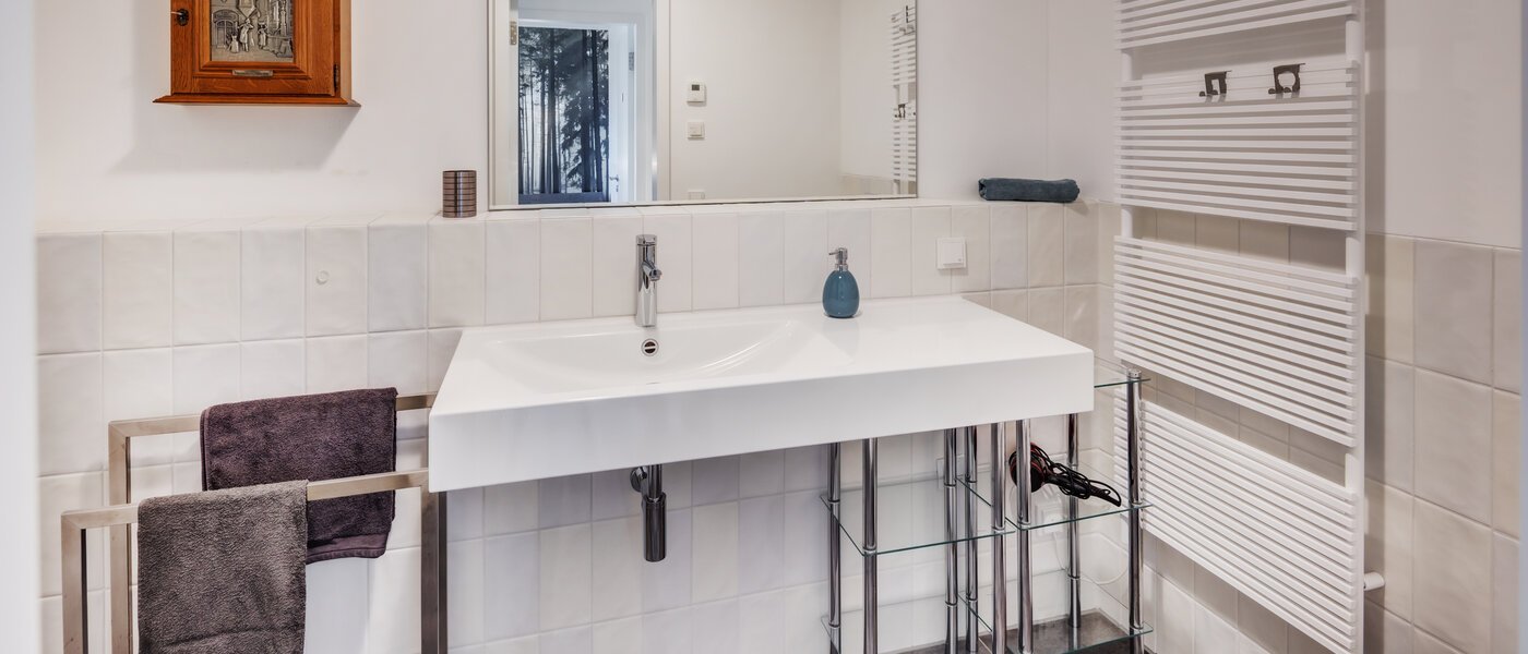 apartment Herrsching am Ammersee 01 2. bathroom 14589