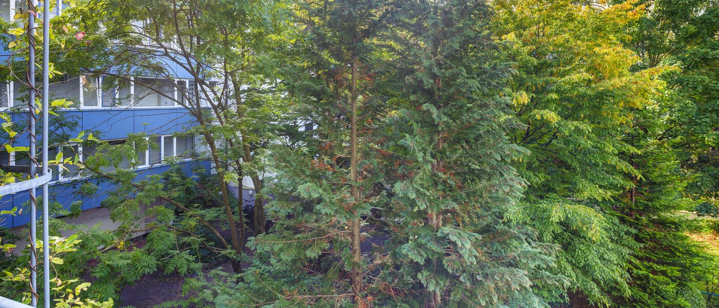 apartment München Obergiesing 01 view 14597