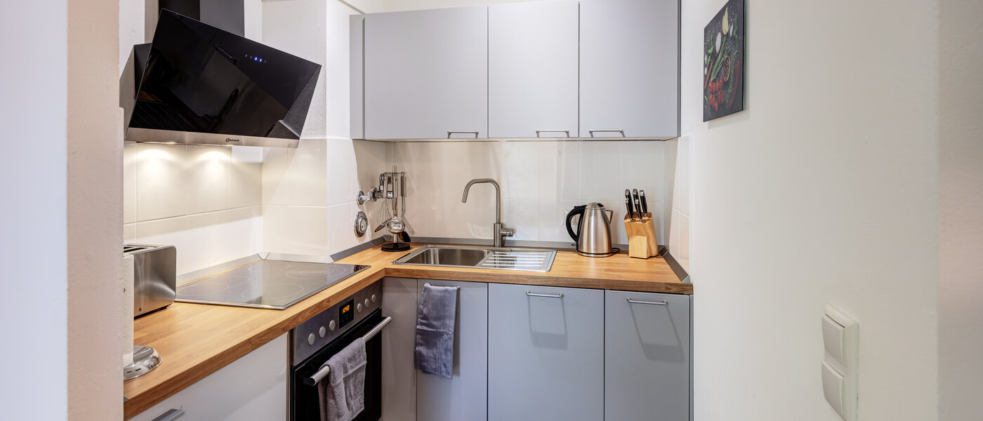 apartment München Maxvorstadt - Westen 02 kitchen 14611