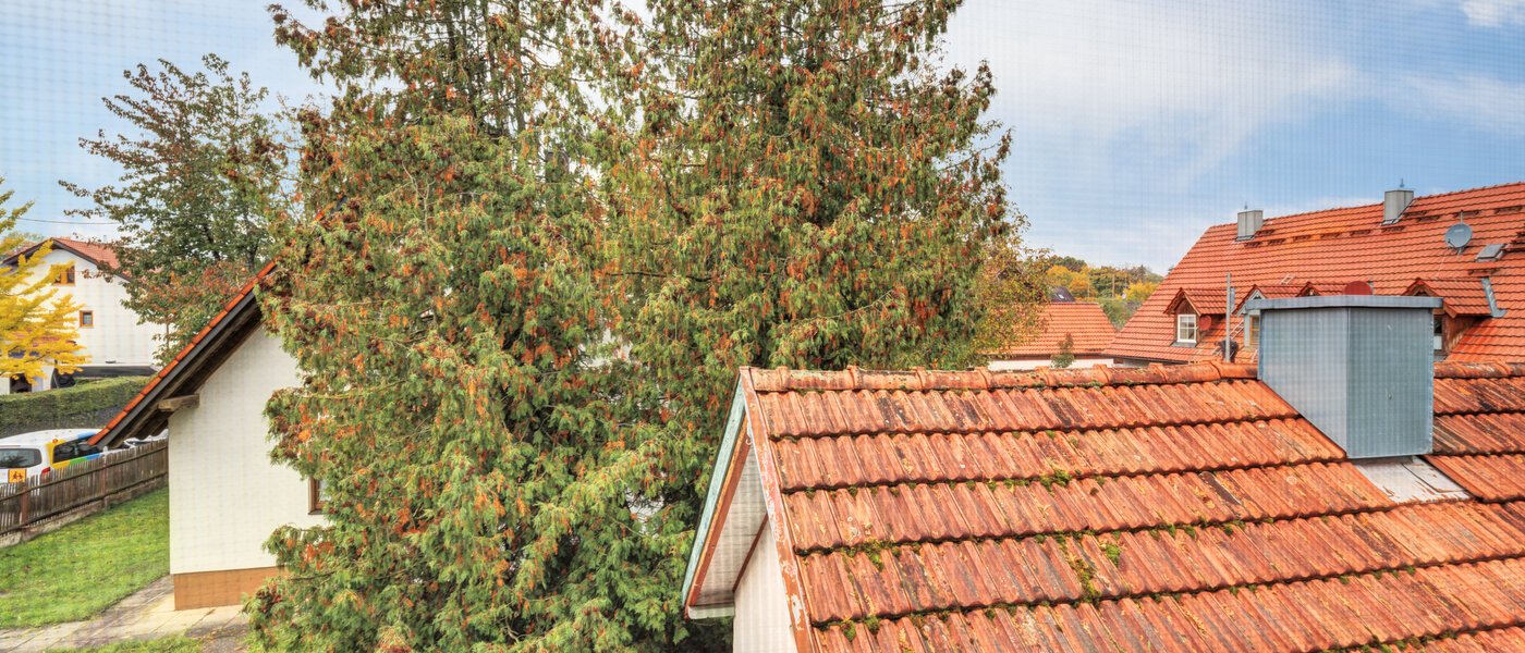 detached house Ismaning 02 view 14615