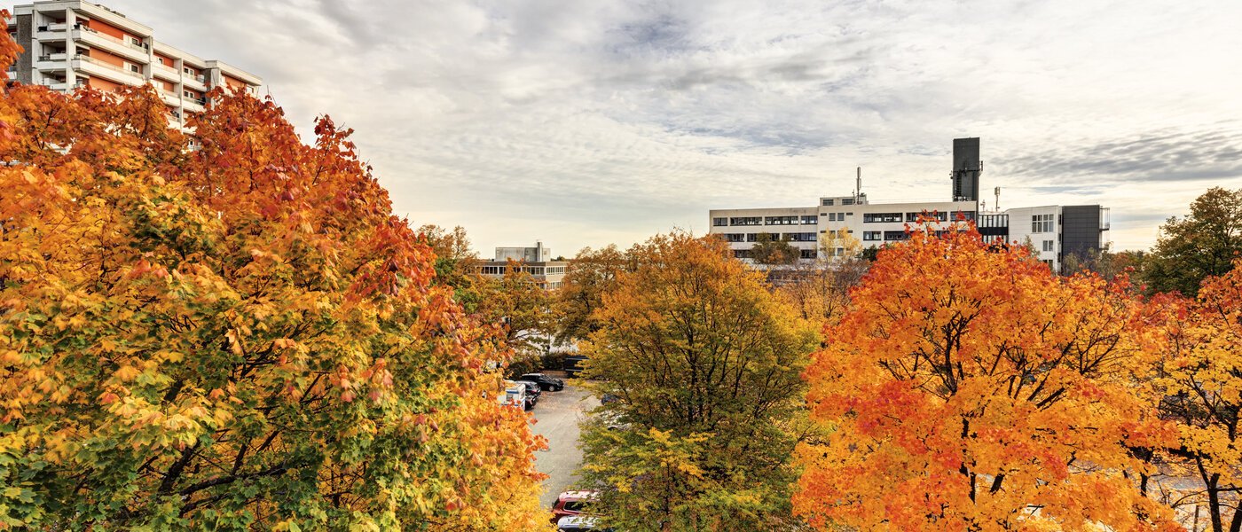 apartment Taufkirchen 01 view 14620