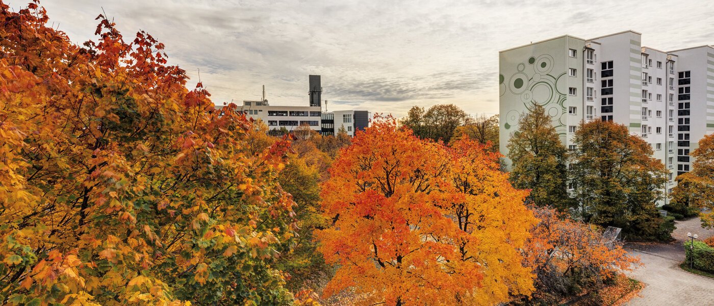 apartment Taufkirchen 02 view 14620