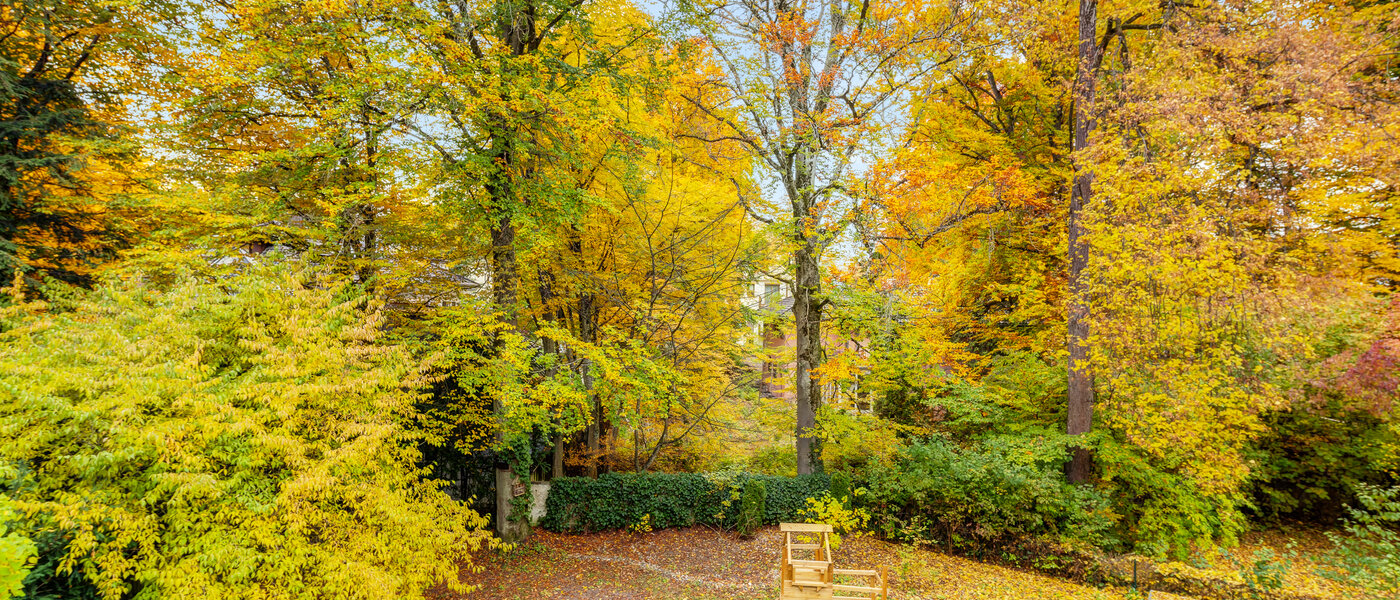 apartment München Harlaching 02 view 14629