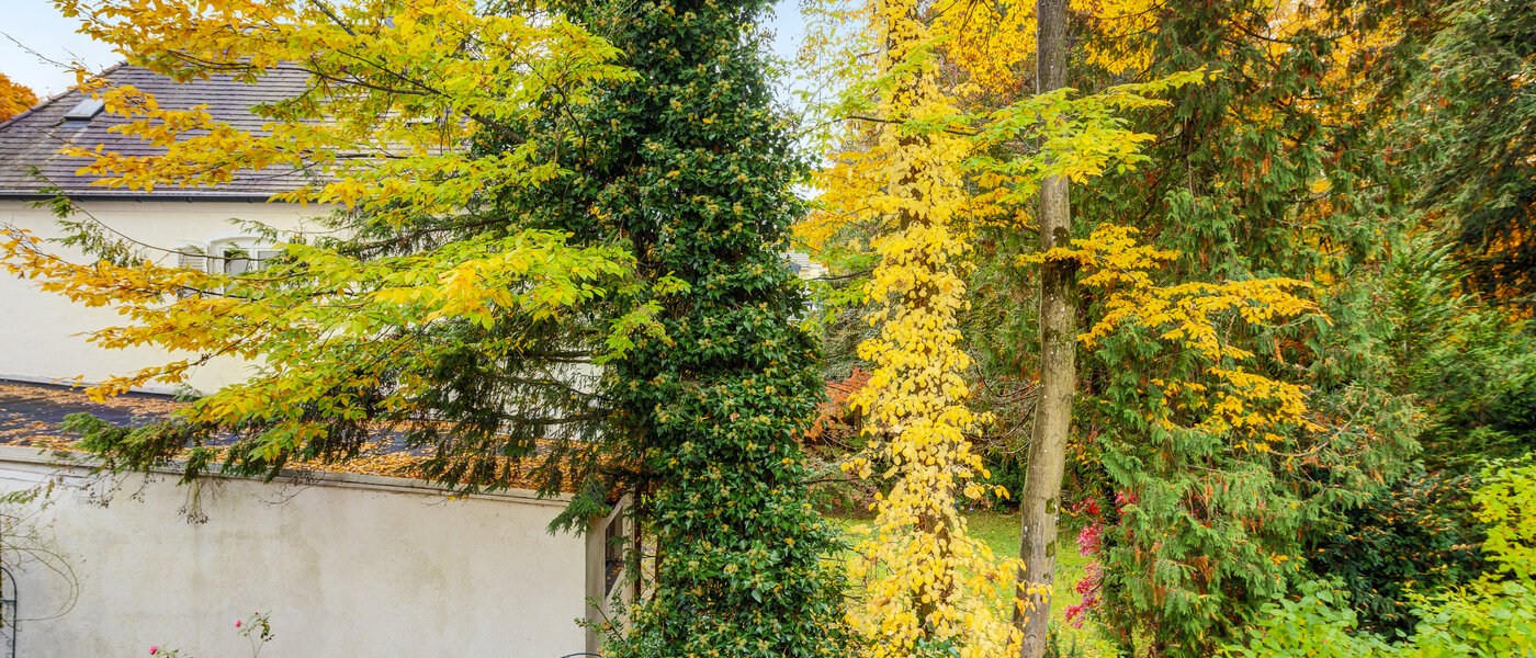 apartment München Harlaching 03 view 14629