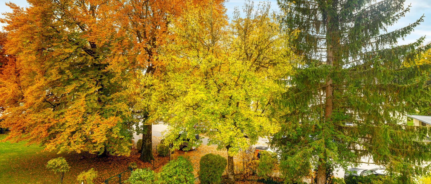 apartment Grünwald 01 view 14631