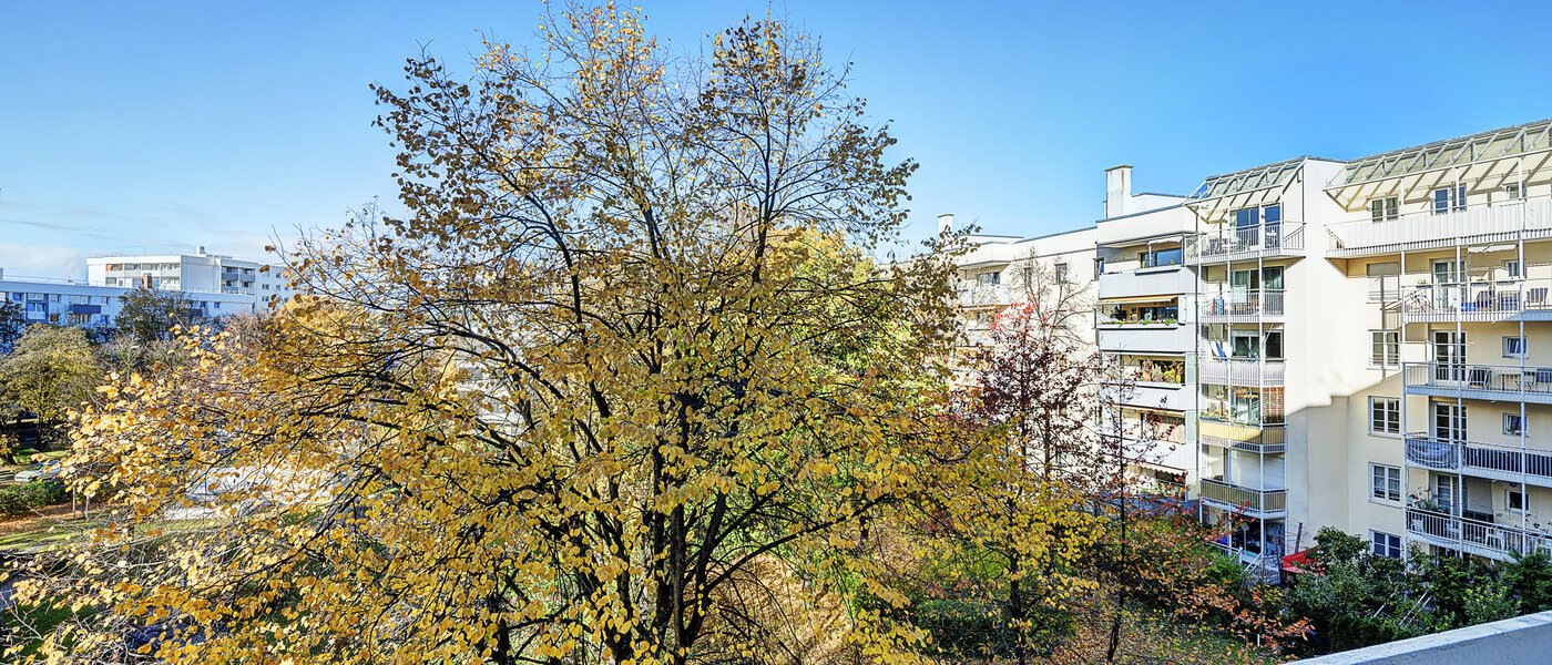 apartment München Moosach 01 view 14638