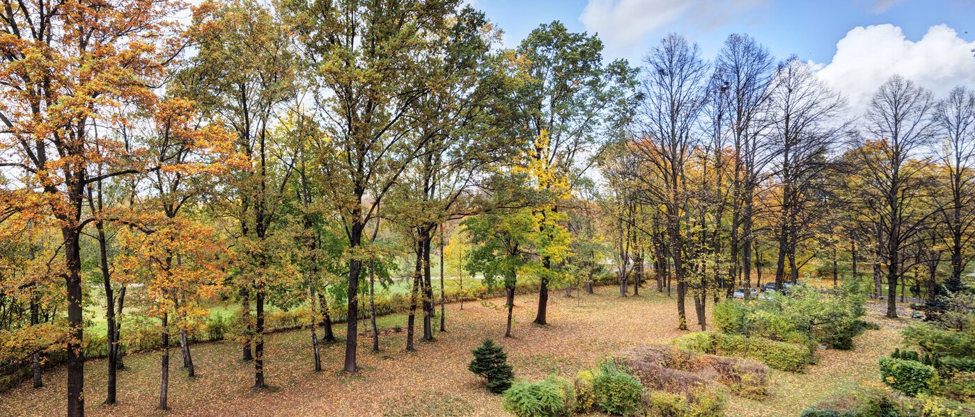 apartment München Bogenhausen 01 view 14639