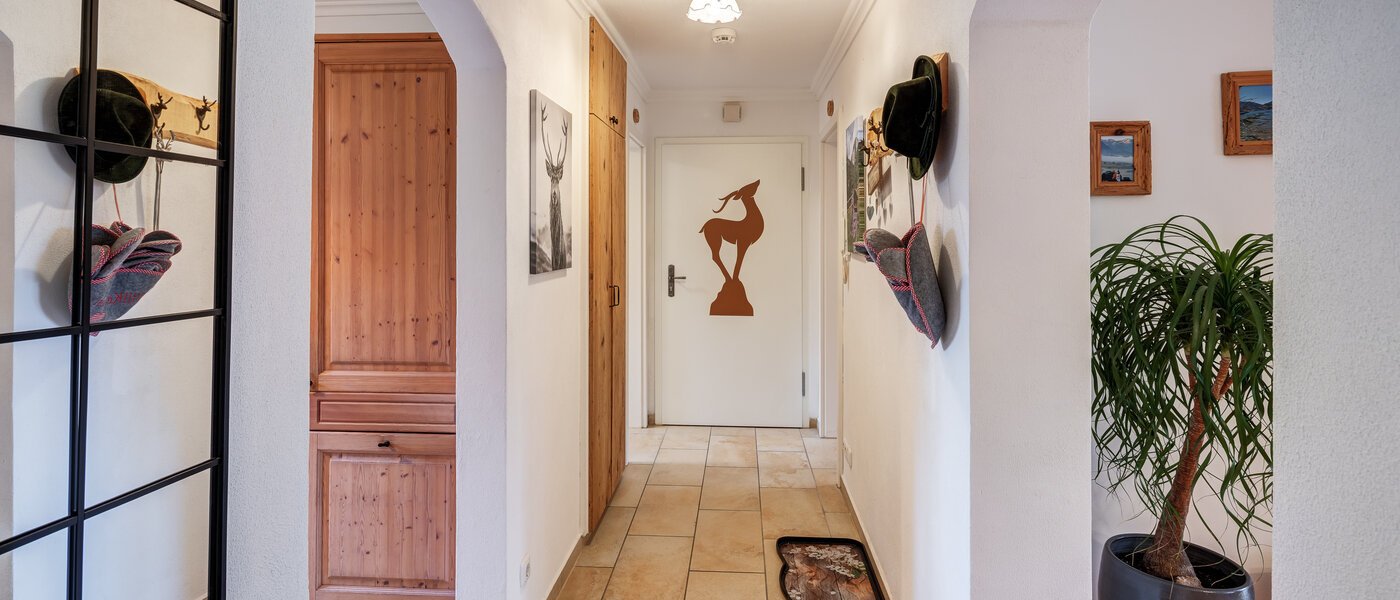 apartment Kreuth 02 hall 14644