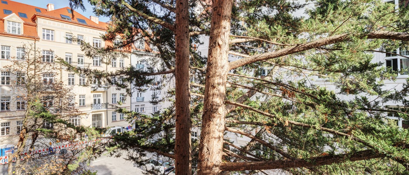 apartment München Schwabing-West 02 view 14646