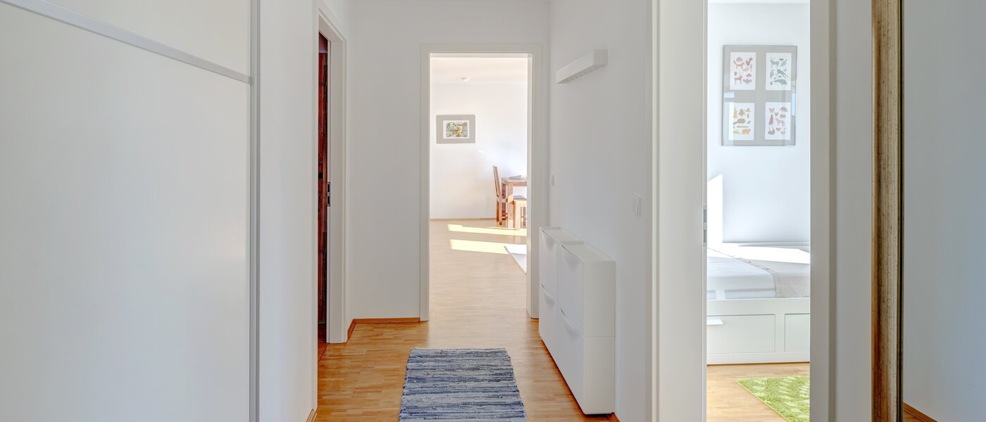 attic apartment Neufahrn b. Freising 01 hall 14650