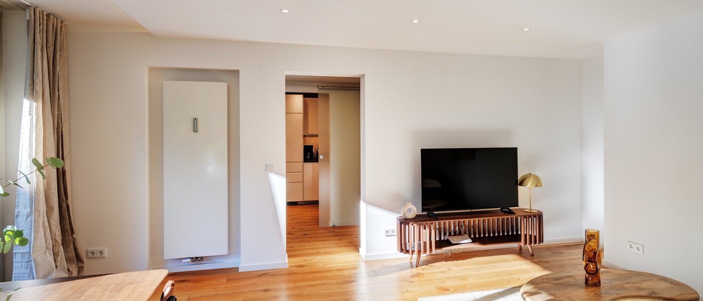 apartment München Maxvorstadt 03 living room 14663