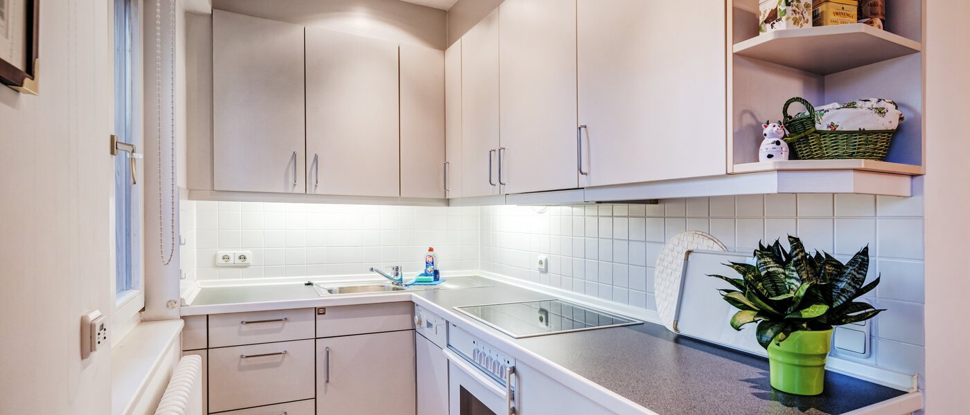 apartment München Fasangarten 01 kitchen 14666