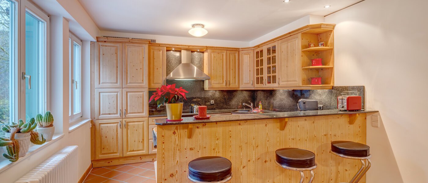 apartment München Fasangarten 01 kitchen 14668