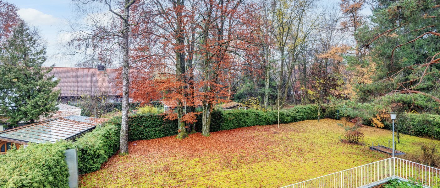 apartment München Fasangarten 01 view 14668