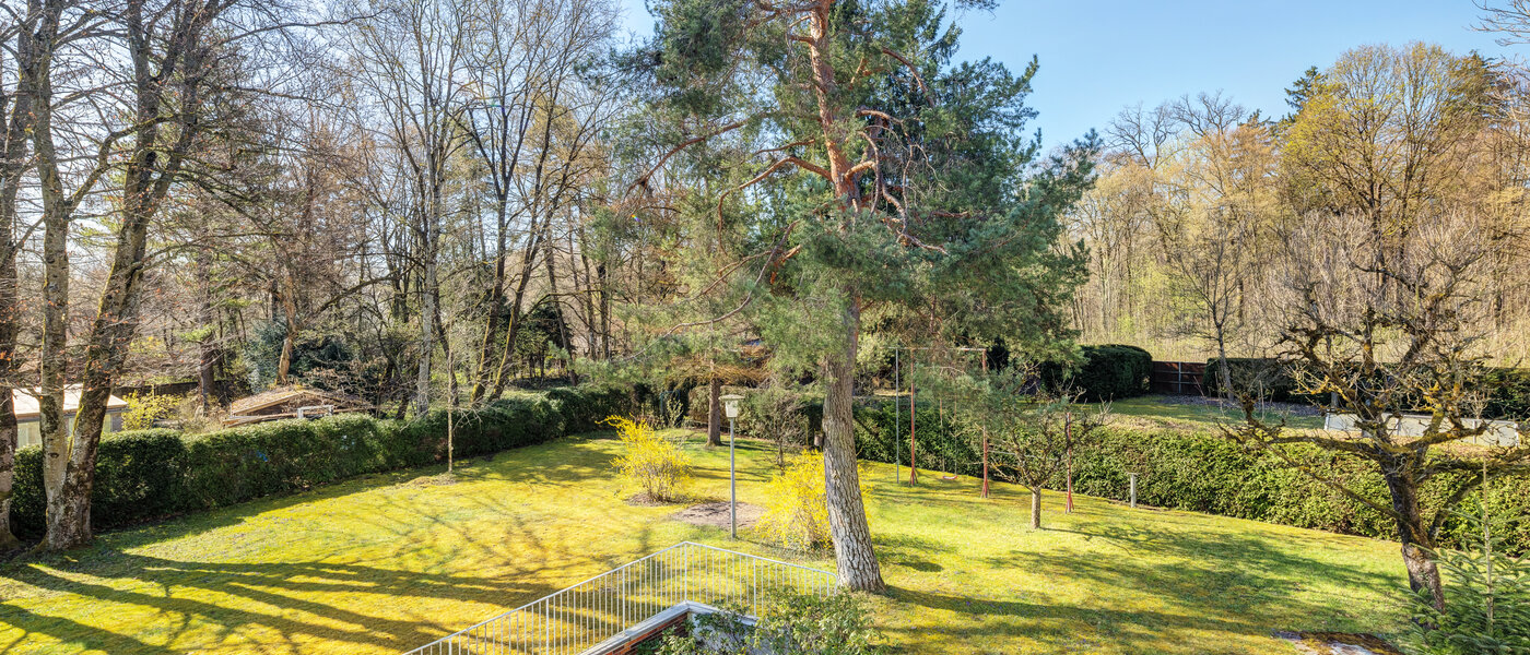 apartment München Fasangarten 02 view 14668