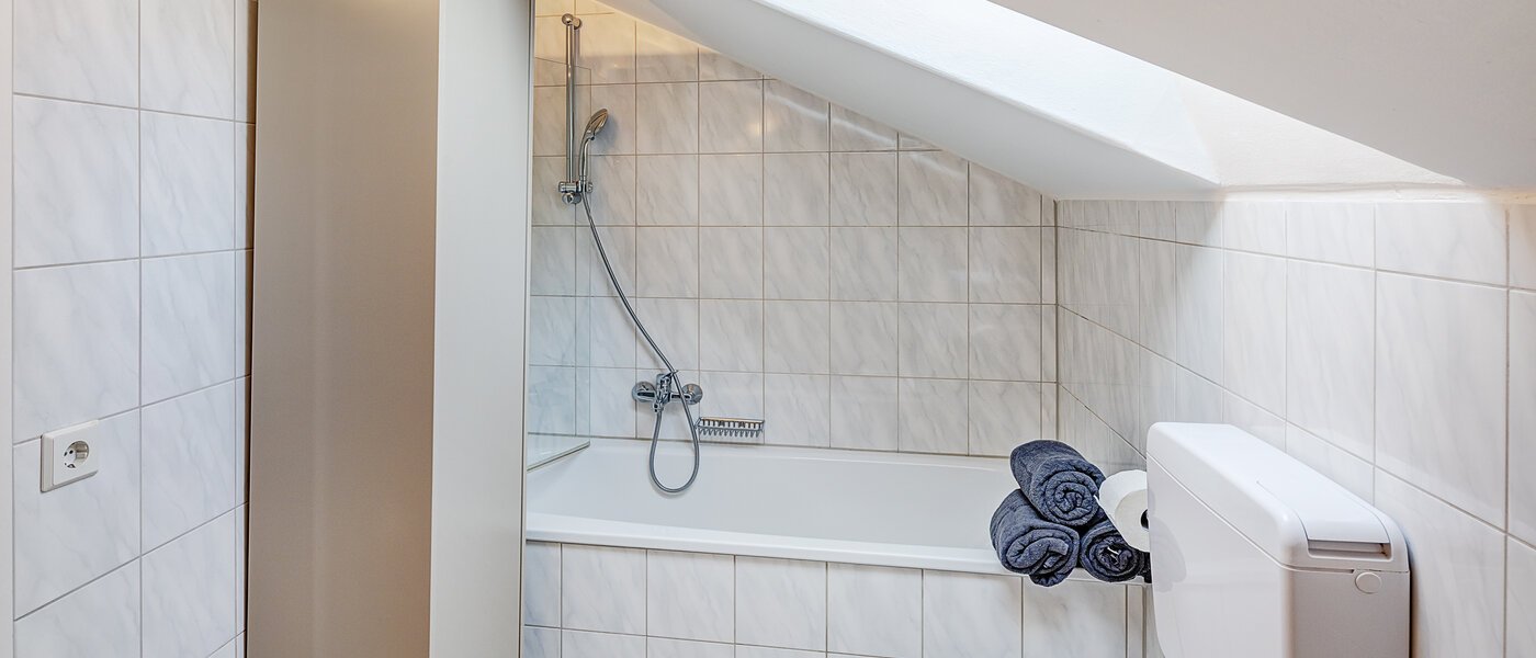 attic apartment Dachau 01 bathroom 14669