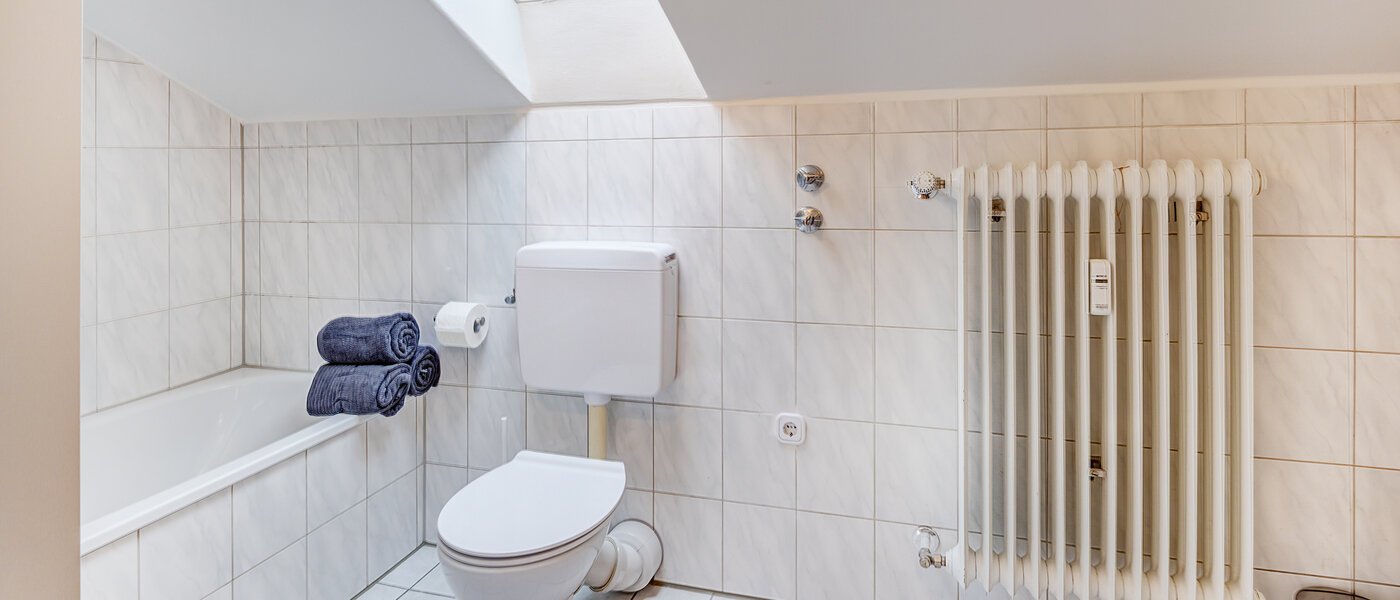 attic apartment Dachau 02 bathroom 14669