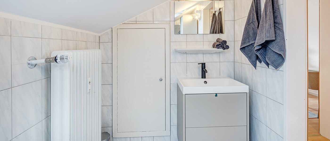 attic apartment Dachau 03 bathroom 14669
