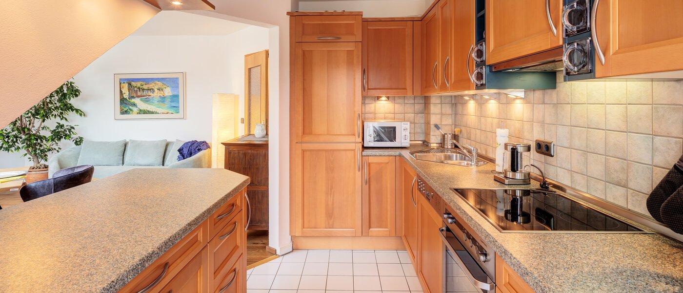 attic apartment München Neufahrn b. Freising 03 kitchen 14673