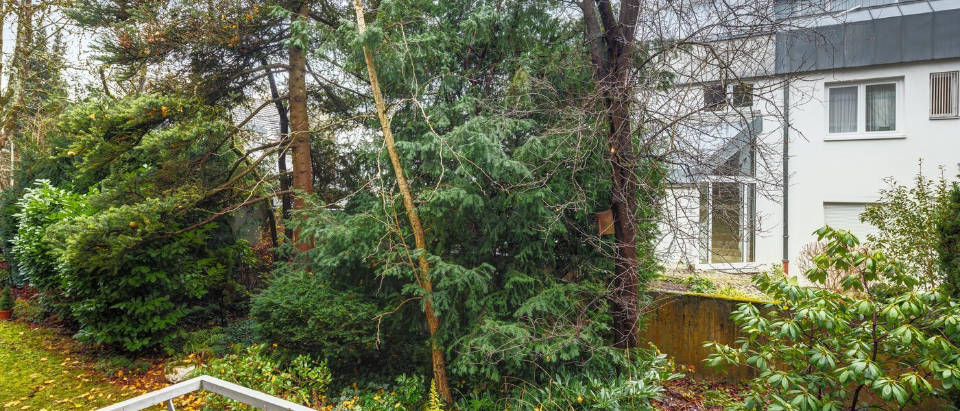 apartment München Solln 01 view 14682