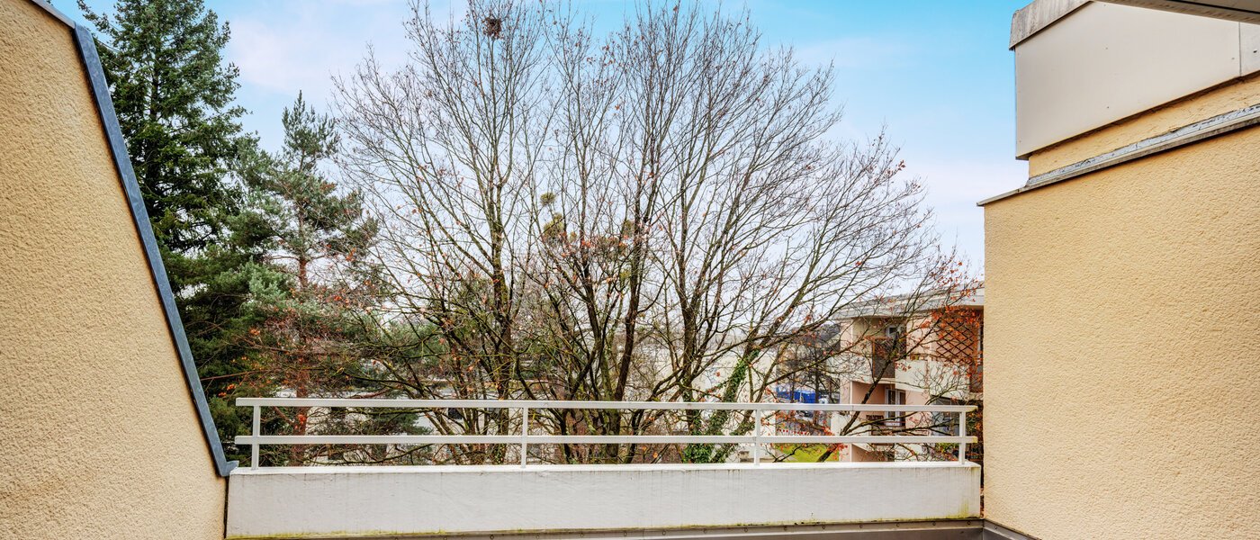 roof terrace apartment München Nymphenburg 02 1. roof terrace 14694