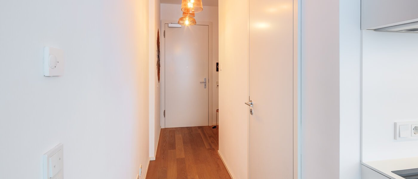 roof terrace apartment München Neuhausen 02 hall 14699