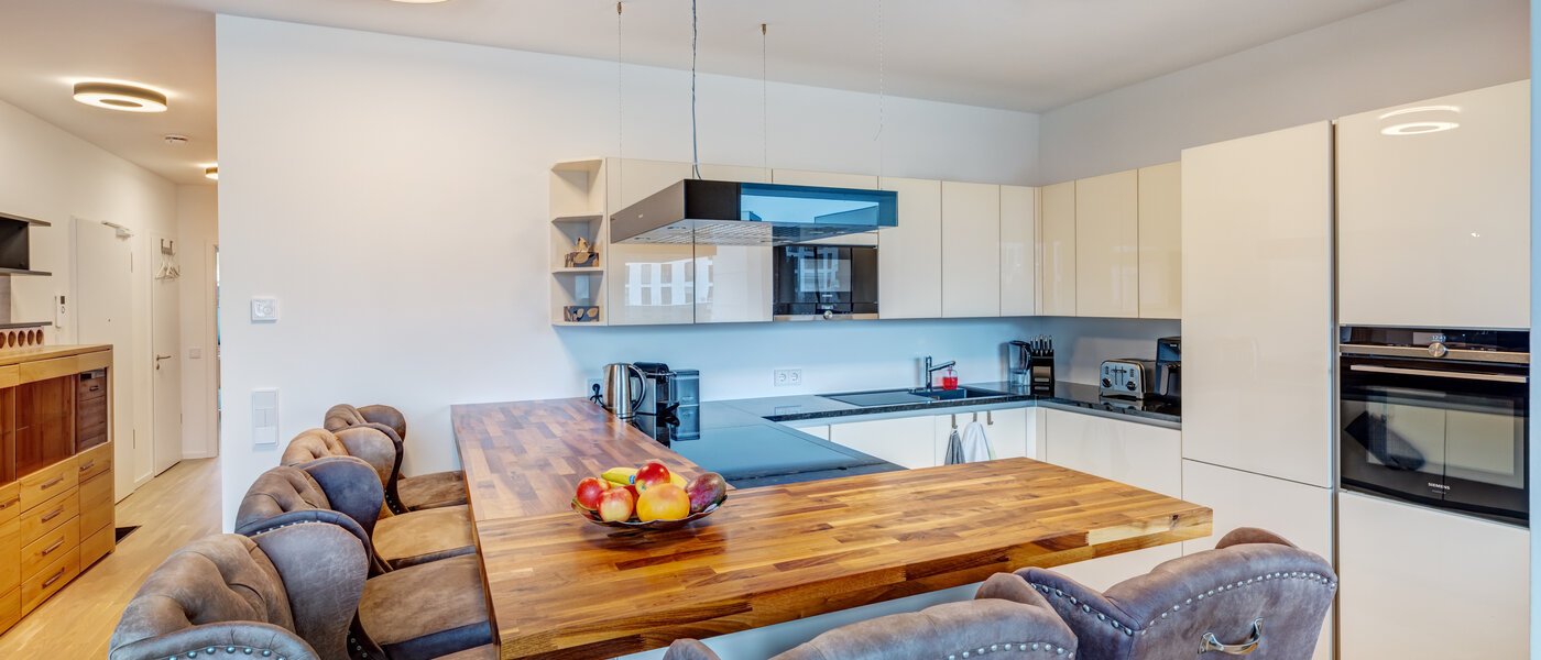 apartment München Pasing 01 kitchen 14702