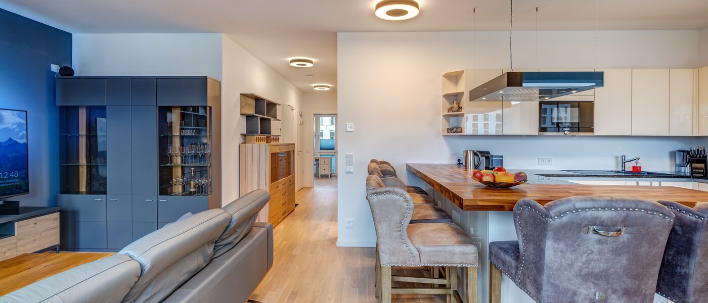 apartment München Pasing 04 living area 14702