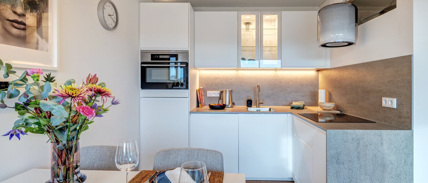 apartment München Untergiesing 01 kitchen 14708