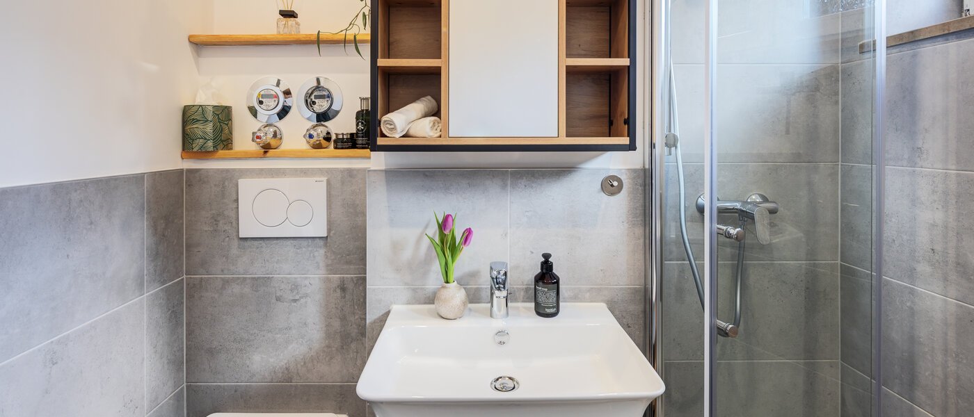 apartment München Obermenzing 03 bathroom 14712