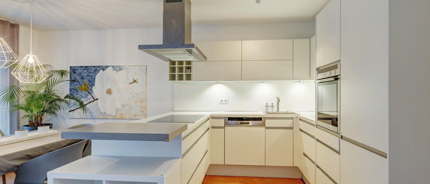 apartment München Harlaching 01 kitchen 14713