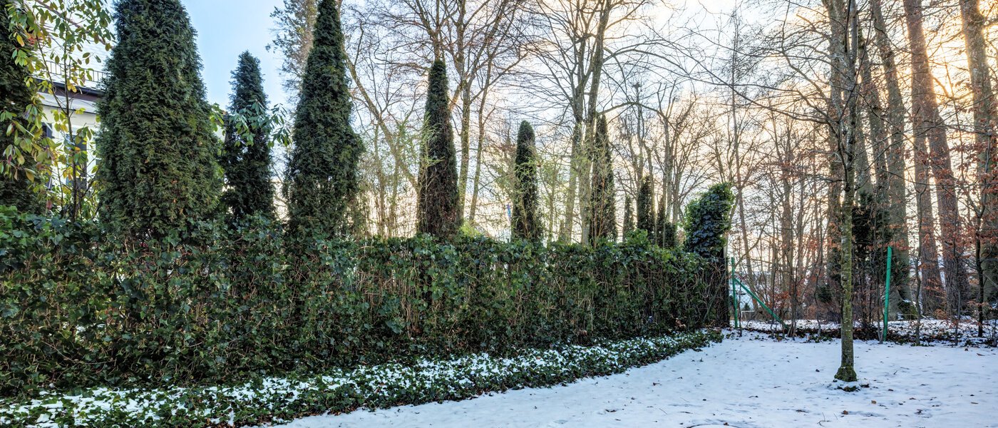 apartment München Harlaching 01 garden 14713