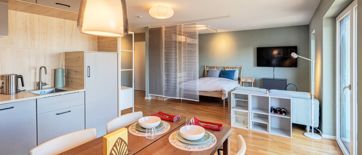 apartment Erding 03 kitchen 14722