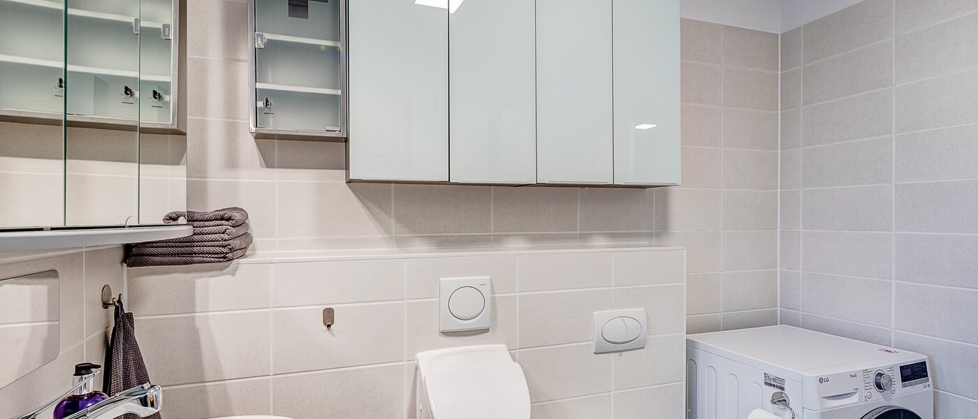 apartment München Haidhausen 02 guest toilet 14730